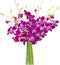 KaBloom - Bouquet of 10 Purple Orchid - Fresh Flowers for Birthday,