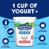 Stonyfield Organic (16g), 30 Oz Greek Whole Milk Yogurt, Plain, High in Protein Multiserving Snack & Cooking