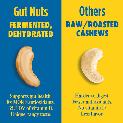 3oz (3 Pack) Gut Nuts - Fermented and Sprouted "Sourdough" Cashews for Gut Health - Tangy, Umami, & Salty Flavors