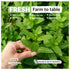 Eastanbul Dried Mint Leaves, 2.1oz Natural Peppermint Leaves for Cooking, Seasoning, and Mint Tea