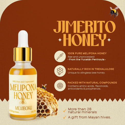 30ml 100% Jimerito Stingless Bee Melipona Honey Drops Pure and Unprocessed Ancestral Mayan Honey from Yucatn Peninsula