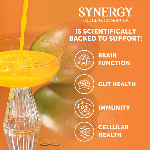 16 oz Immune SYNERGY The Real Kombucha - Mystic Mango - fl Bottle - Raw Probiotic Drink for Gut Health and Support