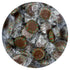 2 150 Chocolate Starlight Mints Candy, Pound Bulk Candy (Approx. pcs.), Individually Wrapped Choco Starlights