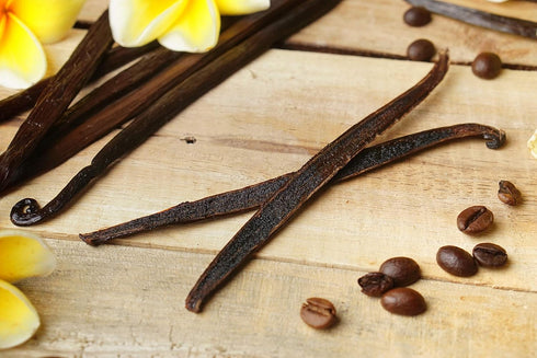12 Large Vanilla Beans Grade A for Making Vanilla Extract - NON-GMO Planifolia Type Bulk, 6-8 Inches