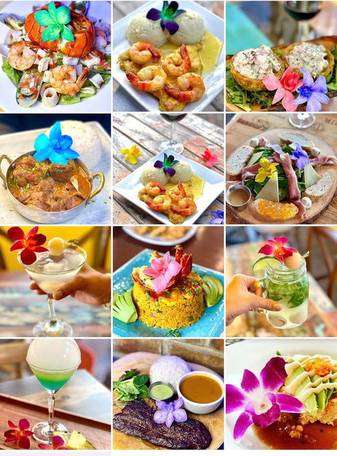 (100 Miami Fresh Orchid Loose Bloom PERISHABLE flowers OrchidClub USA Sunne Tropical DIY lei, food & drink decoration