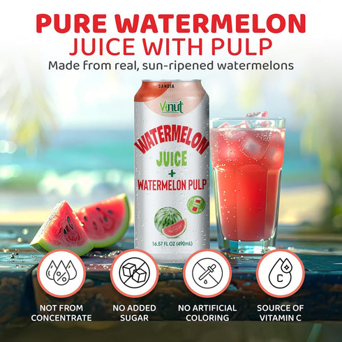 (16.57 oz, Pack 12) Vinut Natural Watermelon Juice Drink with Pulp, fl of Real Watermelon Juice, No Sugar Added, Gluten