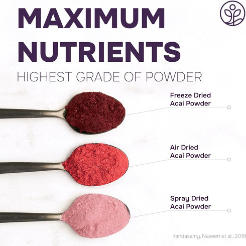 5 Jungle Powders Organic Acai Powder Ounce Bag Freeze Dried Acai Berry Powder from Whole Berries, Antioxidant-Rich Acai