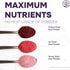 5 Jungle Powders Organic Acai Powder Ounce Bag Freeze Dried Acai Berry Powder from Whole Berries, Antioxidant-Rich Acai