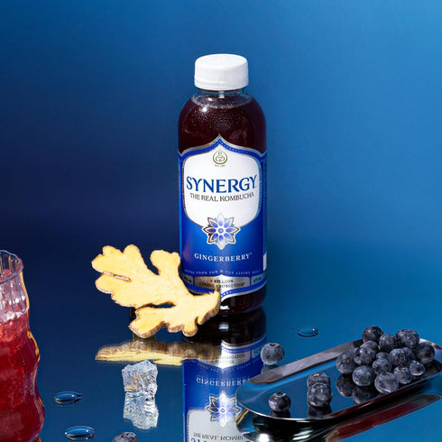16 oz Immune SYNERGY The Real Kombucha - Gingerberry - fl Bottle - Raw Probiotic Drink for Gut Health and Support