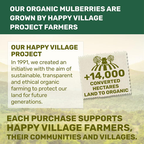 Mulberries, Mulberry, 15 OZ (3 Packs 5 OZ) Happy Village Organic Dried Sun-Dried White of - No Added Sugar, Non-GMO