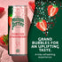 11.15 Oz 8 Count, 3 Pack Maison Perrier Forever Strawberry Flavored Sparkling Water, Fl Cans
