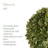 Dried Spinach Leaf Flakes - Nutrient-Rich Spinach Flakes for Cooking