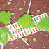 12 Cactus Lollipops - Individually Wrapped Fiesta Candy Suckers - Birthday Fiesta Party Favors - Fiesta Mexican Party