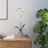 16-Inch (Pack 2) Mikasa Artificial Orchid in Pot, Real Touch Phalaenopsis Orchid, Embossed Weave Cement Pot, Single