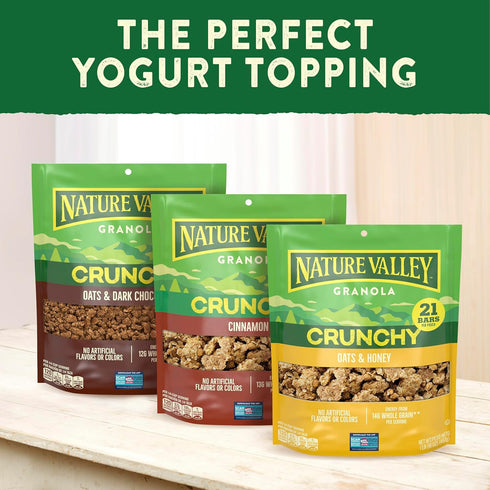 16 oz Nature Valley Oats & Honey Big & Crunchy Granola Breakfast Cereal