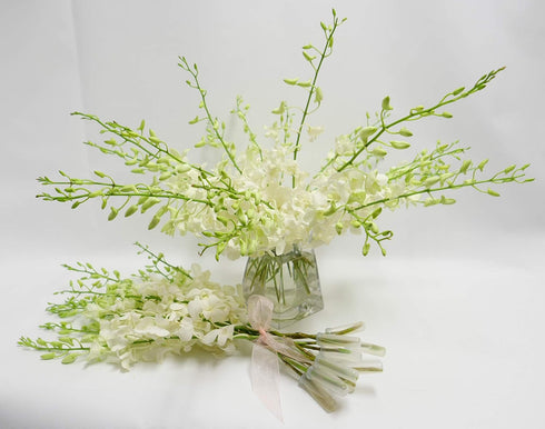 10 Bunch of Fresh Dendrobium White Cut Orchids from Nursery, Bunch of Stems (Fresh Cut)