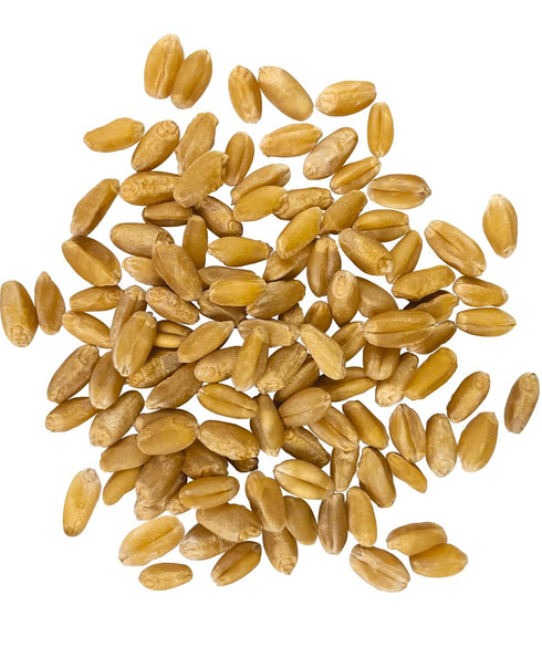 3 lbs Palouse Brand Certified Glyphosate Residue Free Hard White Wheat Berries | | Non-GMO Project Verified | Kosher