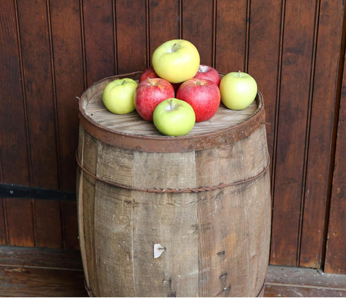 8 Kauffman Orchards Fresh Golden Delicious Apples, Hand-Picked, Non-Waxed, Grown in Pennsylvania (Box of Apples)