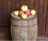 8 Kauffman Orchards Fresh Golden Delicious Apples, Hand-Picked, Non-Waxed, Grown in Pennsylvania (Box of Apples)
