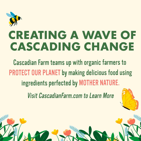 11 oz Cascadian Farm Organic Granola, No Added Sugar, Blueberry Vanilla Cereal, Resealable Pouch