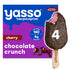 10.6 YASSO Cherry Chocolate Crunch Greek Yogurt Bars, FZ