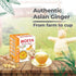 B1, B2 B6, 12 HOTTA Instant Ginger Drink with Manuka Honey, Naturally Sweet, Caffeine-Free Herbal Tea, High in Vitamin