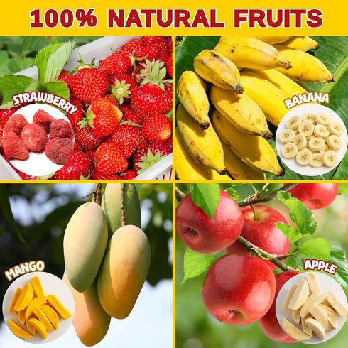 Egcina Pack 8 (4.65oz/132g) Large Freeze Dried Fruit Snacks Variety - Single Bags with Apple, Mango, Strawberry, Banana