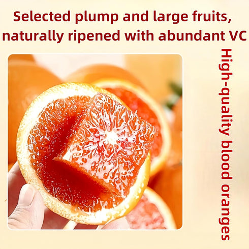 GXXDMZAQ 85g/3oz Drink Botanicals Blood Orange Slices - Pure Dehydrated Citrus Wheels in Reusable Jar, No Added Sugar