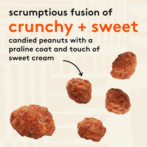 2 oz 12 Pack Snak Club Toffee Peanuts, Candied Peanuts with Praline Coat and Sweet Cream, Gluten-Free and Kosher Snack