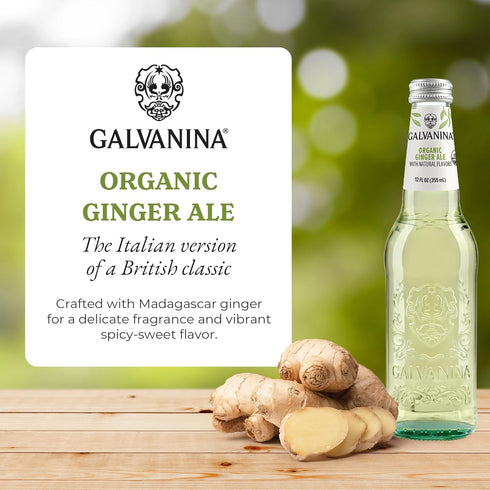12 oz (6 Galvanina Ginger Ale Premium Organic Italian Sparkling Soda, fl Glass Bottles) | Crisp, Lightly Sweet Ginger