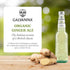 12 oz (6 Galvanina Ginger Ale Premium Organic Italian Sparkling Soda, fl Glass Bottles) | Crisp, Lightly Sweet Ginger