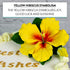 1 Count Global Sugar Art Hibiscus Sugar Cake Flowers Spray, Yellow Hawaiian Cake Flower Large. by Chef Alan Tetreault