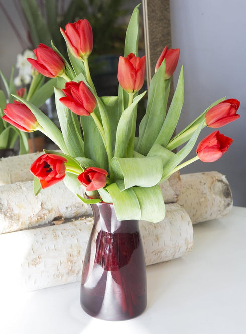 Blooms2Door 10 - Bouquet of Red Tulips (Farm-Fresh) with Vase - Fresh Flowers for Birthday, Valentine's & Mother's Day