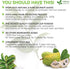 Premium 1oz Soursop Leaf Powder, 100% Natural & Pure from Soursop Leaves, Wildcrafted, Graviola Powder, Hoja Guanabana, No Sugar, No Gluten, Vegan
