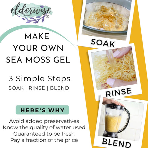 Sea Moss | WILDCRAFTED | 2.5 oz Makes 64 oz of Gel | Raw + Non GMO | Sundried | MINERAL RICH | Saint Lucia Sea Moss |