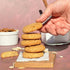 4.85OZ (Pack 1) Almond Cookies, Sugar Free, Dairy Free, Gluten Free, Low Carb, Low Calories, Flche Healthy Treats