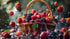 RawJoy A Gift with fresh Juicy Berries Fruit Basket by Farms.