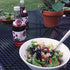 GuS Soda 12 oz (6 - Dry Blackberry - Glass Bottles)