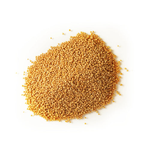 24 oz Spiceology Whole Yellow Mustard Seed Pungent, Earthy & Tangy Flavor Perfect for Pickling, Brines, Spice Blends