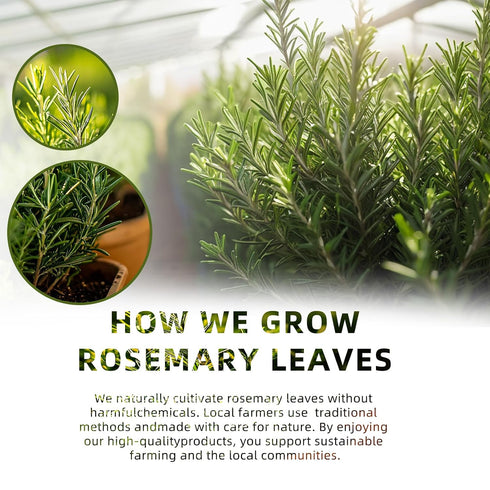 100% (30 luoptea Rosemary &lemon Tea Bags| Natural,Caffeine-Freewith Sun-Dried Lemon Peel &RosemaryLeaves,No-GMO