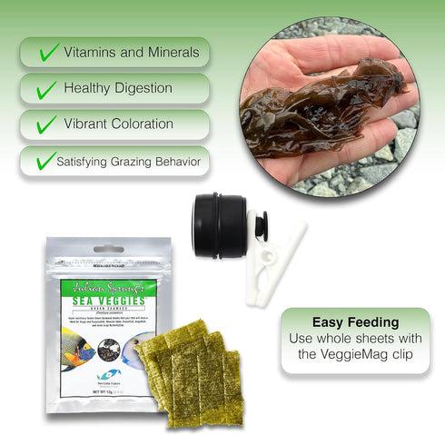 (2 Two Little Fishies Veggie Mag with Green Sea Veggies Bundle Items)