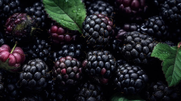 RawJoy Fresh Delicious Blackberries by Farms, 2 Pound