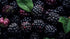 RawJoy Fresh Delicious Blackberries by Farms, 1 Pound
