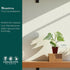 2 CoollectivePlants Monstera Thai Constellation Live Indoor Plant in Grower Pot, Variegated Monstera Houseplant, Easy