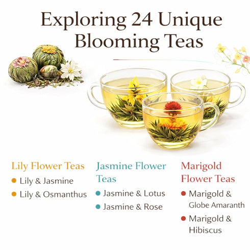 24 Set Blooming Tea & Edible Flower Infusions, Green Tea, Unique Flavors Gift for Everyone Natural, Floral & Aromatic