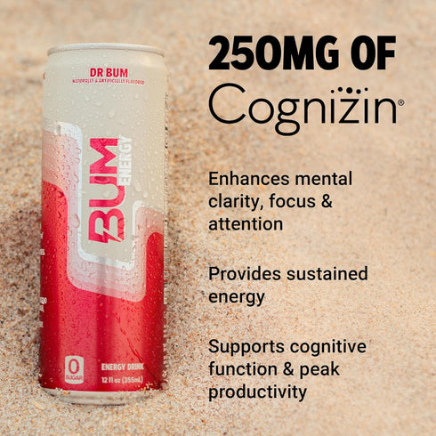 12 oz, 12-Pack BUM Sugar-Free Energy Drink, Dr BUM - Lightly Carbonated & No Artificial Colors, Natural Caffeine