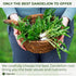 135 100% Tagalica, Premium Dandelion Root Tea Bags, Natural & Pure from Dandelion Root, Eco-Conscious Tea Bags, Herbal