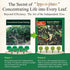 Visit the Store 100% (1.06oz, Kazuto Premium Ceremonial Grade Matcha Green Tea Powder - Premium First Harvest Single