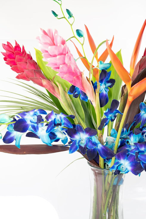 Generic Fresh Orchids and Tropical Flower Bouquet, Perfect for Birthdays, Easter, Mother's Day, Anniversaries, Gifts