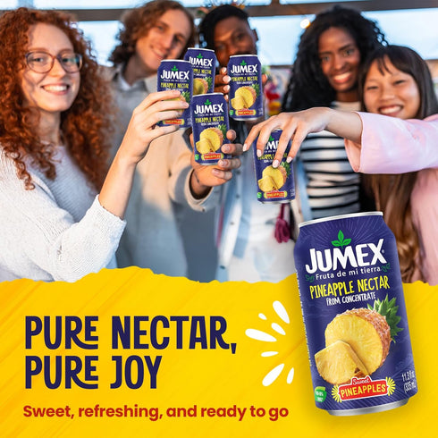 11.3oz, 24 Pack Jumex Pineapple Juice Nectar - Made with Fresh Fruit Puree from Concentrate for Tropical Fruit Smoothie